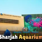 Sharjah City Center Guide | Location, Shopping & More