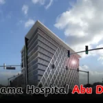 Ports Police Station Dubai | Location, Facilities & More