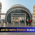 How Plastic Crates Make Warehouse Storage and Shipping Easier in the UAE?