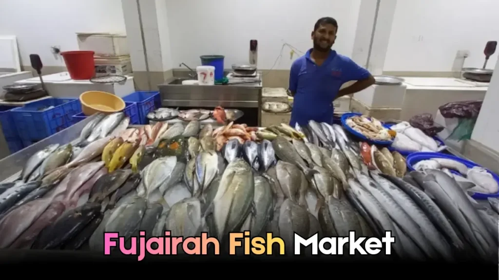 Fujairah Fish Market