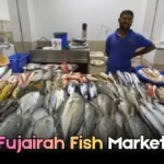 Is Your Rolls-Royce Leaking Coolant? Signs & Repair Solutions