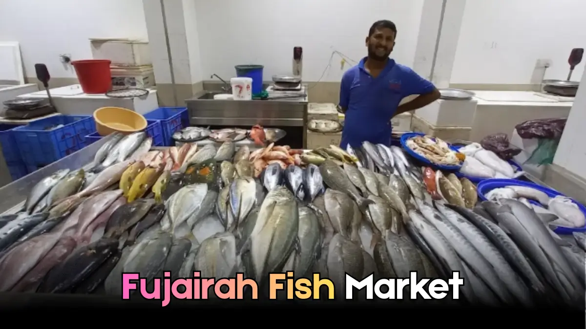 Fujairah Fish Market